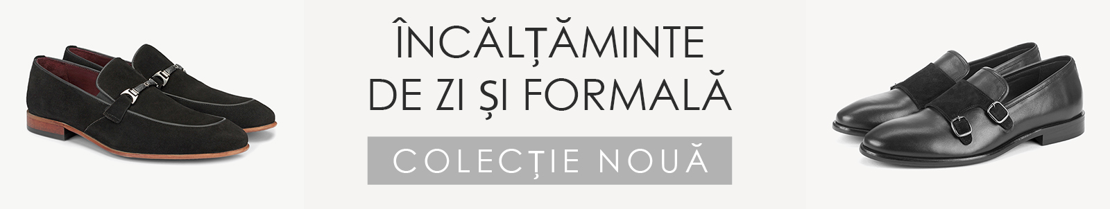 Mocasini şi pantofi