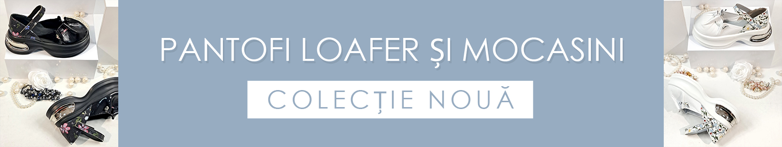 Mocasini şi pantofi