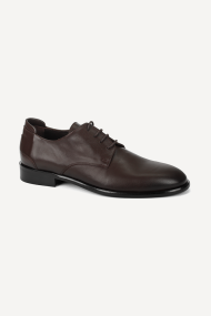 Pantofi de piele GS-1702-maro