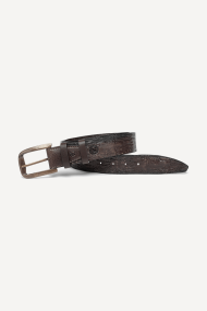 Curea de piele PL-01320-maro